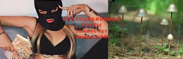 apvp Абинск