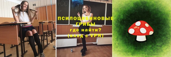 прущие крисы Приозерск