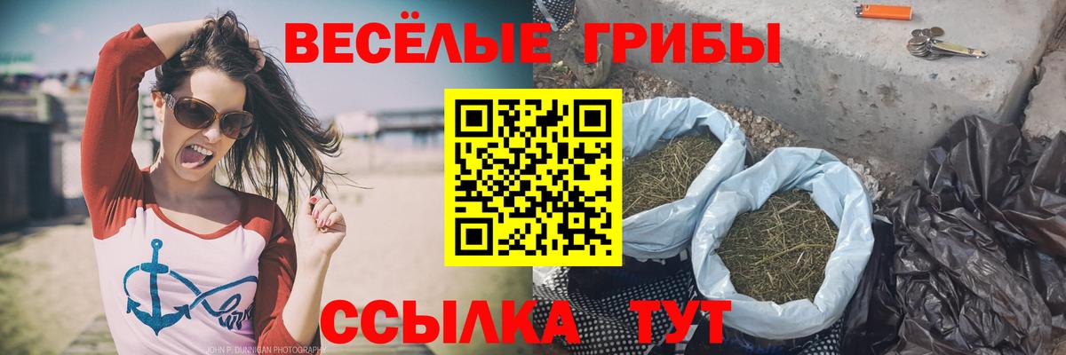 Галлюциногенные грибы Cubensis  Вход с VPN  Калининград  Псилоцибиновые грибы ЛСД 